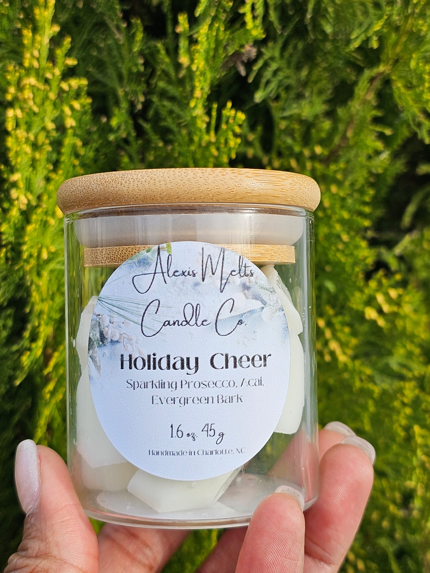 Holiday Cheer Wax Melt